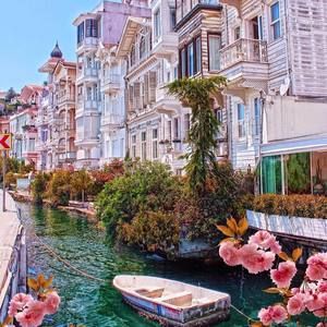 Meet your Posher, Rosa ma